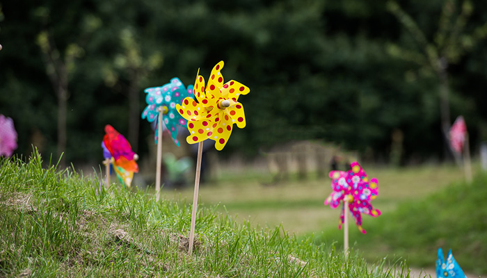Colourful children&#39;s windmills in the gardens at the hospice on a sunny day.