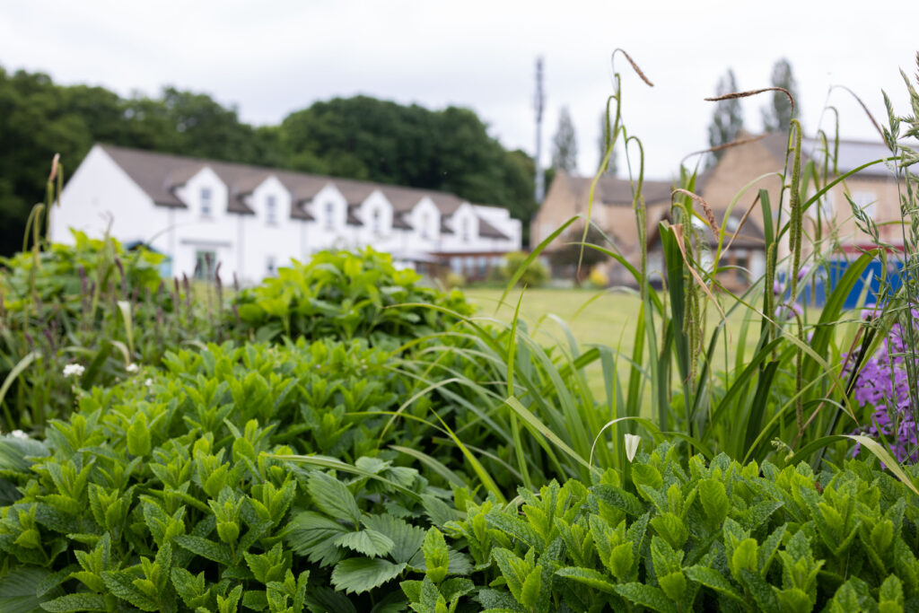 A view of the rear of Russell House taken from the garden with greenery in the foreground.