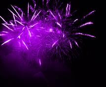 Purple-Fireworks-4