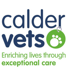 Calder Vets treat your pets as a priority
